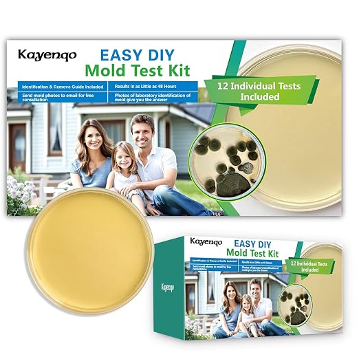 Mold Test Kit for Home - Image 8