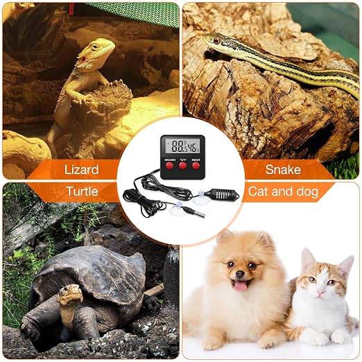 Weewooday 4 Pcs Reptile Thermometer and Humidity Gauge Reptile Terrarium - Image 7