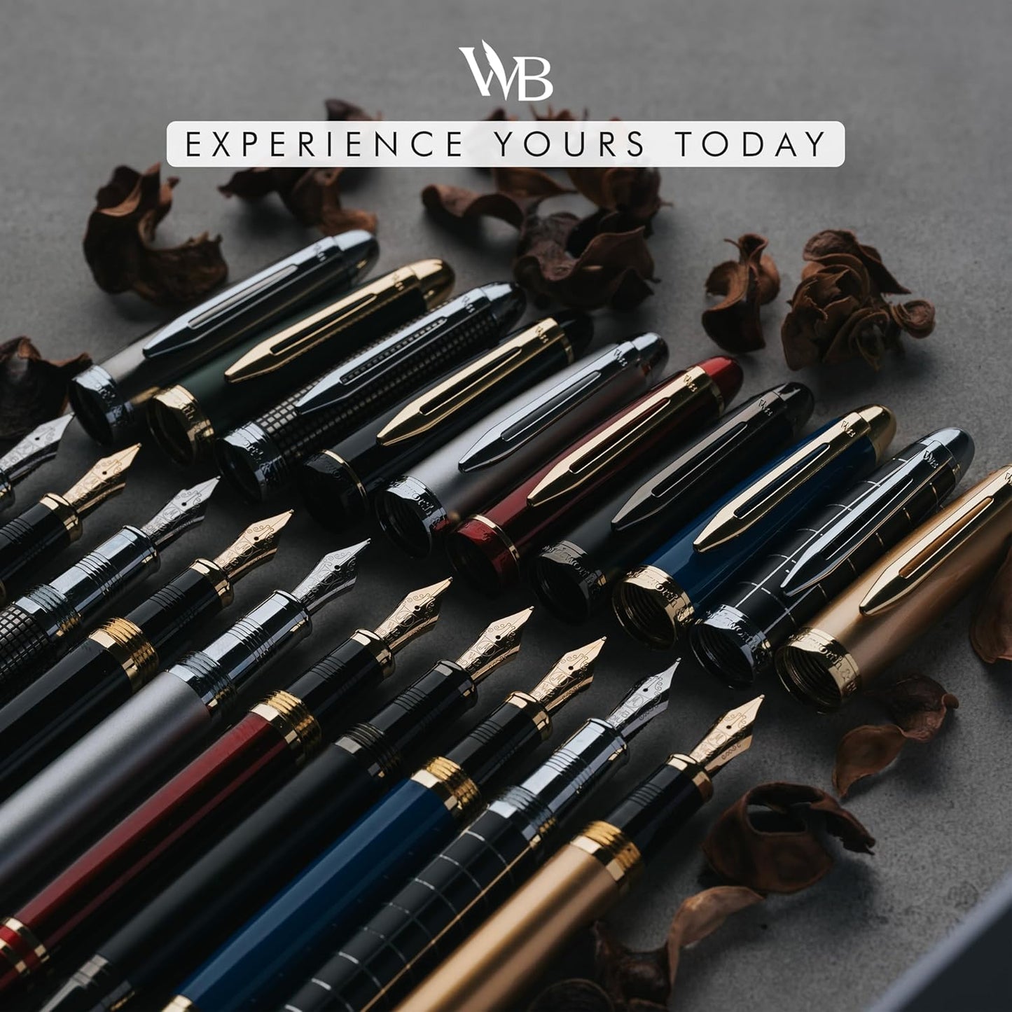 Wordsworth & Black Majesti Fountain Pen-(Black), Luxury Case, 24K Gold Finish; 18K Gilded Medium Nib- Ink Cartridges, Refillable Ink Converter-Calligraphy Pen-Best Business Gift Set for Men & Women