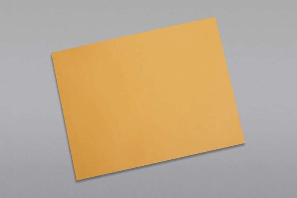 Limited Papers (TM) Booklet Envelopes, (Open Side) Brown Kraft, Gummed Seal, 28 Pound, Heavyweight, For Mailing And More. (500, 10 x 15)
