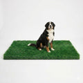 Turf Grass 70"x40" for Dogs by MAYSHINE