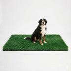 Turf Grass 70"x40" for Dogs by MAYSHINE