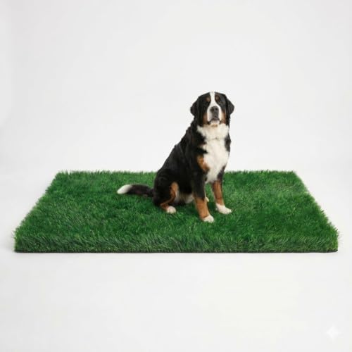 Turf Grass 70"x40" for Dogs by MAYSHINE
