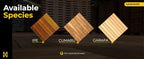 Maximo Ipe Hardwood Deck Tiles – Premium Interlocking Outdoor Flooring - Image 6