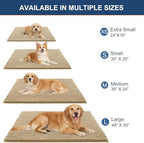 OLANLY Dog Door Mat for Muddy Paws 48x30, Extra Absorbent Chenille Mud Mat - Image 2