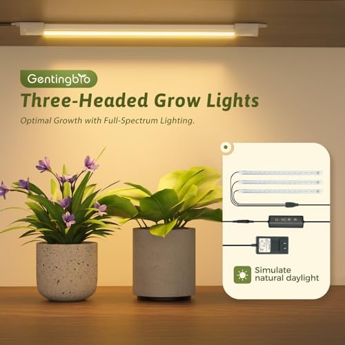 GENTINGBRO Plant Stand Indoor - Image 2