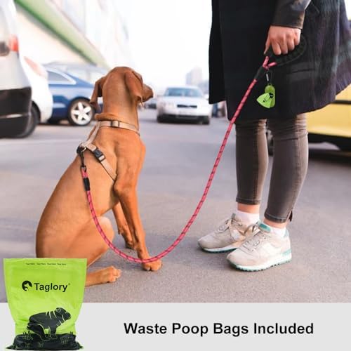 Taglory Rope Dog Leash for Small Medium Dogs, 6 FT Padded Handle - Image 2
