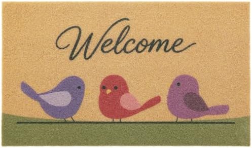 OLANLY Front Door Mat 47x32, Low Profile Doormat by OLANLY