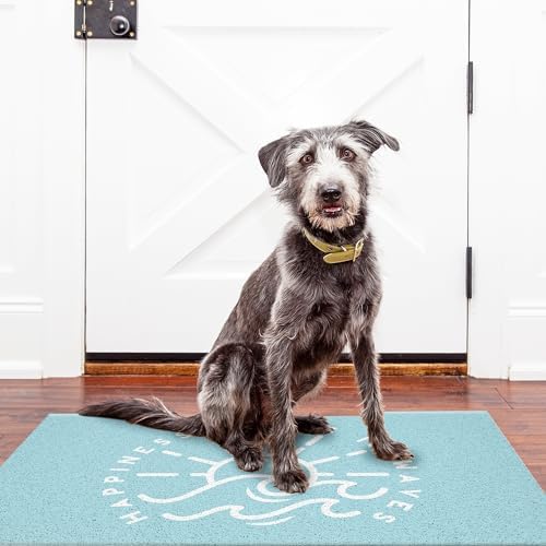 Jvpke Blue Beach Door Mat, Happiness Comes in Waves Blue Beachy Door Mat Indoor - Image 4