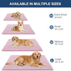 OLANLY Dog Door Mat for Muddy Paws 34x21, Extra Absorbent Chenille Mud Mat - Image 2