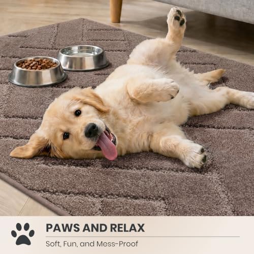 PURRUGS Area Rug - Image 3