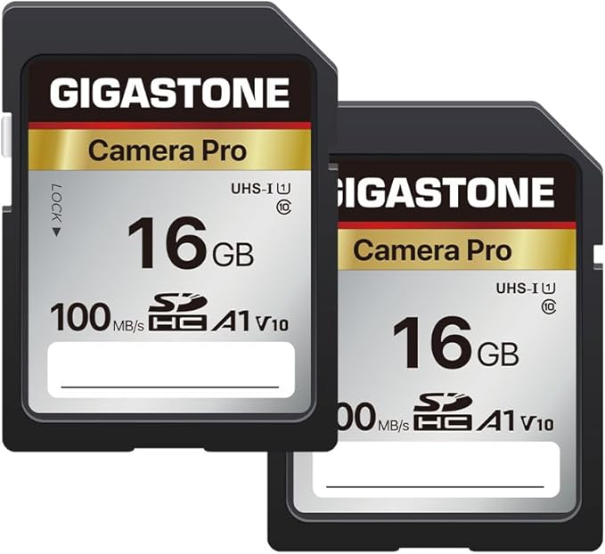 【5-Years Data Recovery】 GIGASTONE 16GB SD Card 2-Pack, Camera Pro, UHS-I A1 V10 by Gigastone