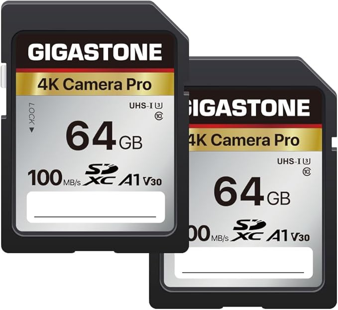 【5-Years Data Recovery】 GIGASTONE 64GB SD Card 2-Pack, 4K Camera Pro, UHS-I A1 by Gigastone