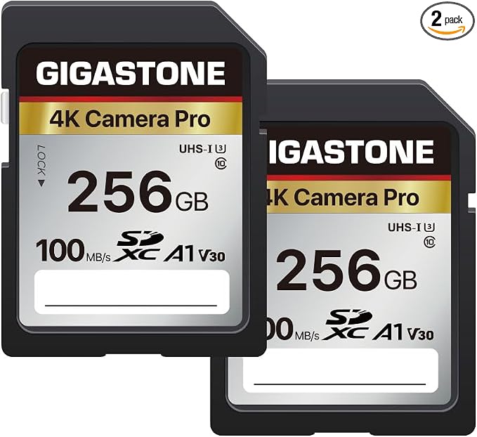【5-Years Data Recovery】 GIGASTONE 256GB SD Card 2-Pack, 4K Camera Pro, UHS-I A1 by Gigastone