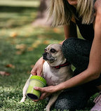 Dexas MudBuster Small Dog Paw Cleaner, - Image 5