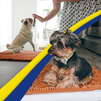 Muddy Mat® | Super Water Absorbent Door Mat Indoor, Microfiber Quick Dry - Image 4