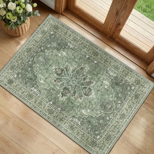 RELEANY Washable Area Rug, Small 2'x3' by RELEANY