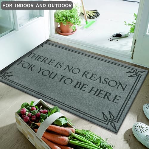Front Door Mat Funny Welcome Mats Brown There is No Reason - Image 6