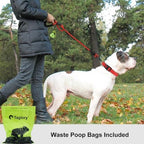 Taglory Rope Dog Leash for Medium Large Dogs, 6 FT Padded Handle - Image 2
