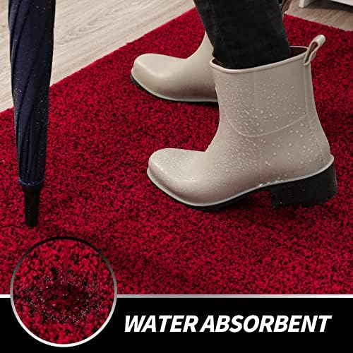 LINLA Indoor Doormat, Absorbs Mud Mat - Image 5