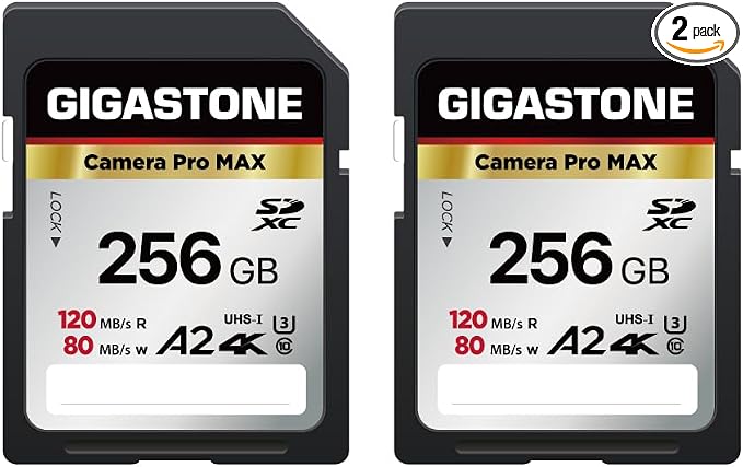 【5-Years Data Recovery】 GIGASTONE 256GB SD Card 2-Pack, 4K Camera Pro MAX by Gigastone