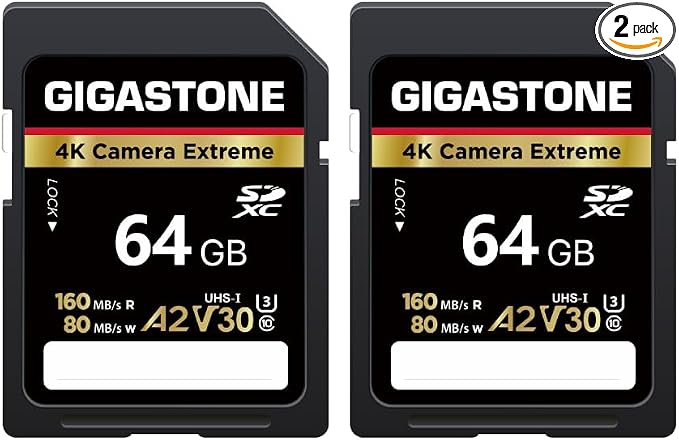 【5-Years Data Recovery】 GIGASTONE 64GB SD Card 2-Pack, 4K Camera Extreme by Gigastone