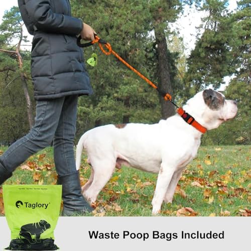 Taglory Rope Dog Leash for Medium Large Dogs, 5 FT Padded Handle - Image 2