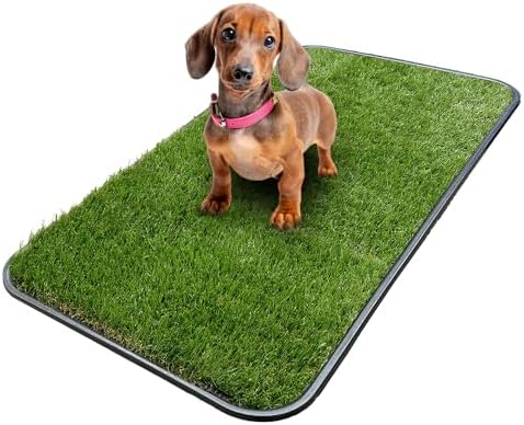 Ottomanson Artificial Grass Puppy Potty Training Pad by Ottomanson