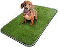 Ottomanson Artificial Grass Puppy Potty Training Pad by Ottomanson