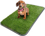 Ottomanson Artificial Grass Puppy Potty Training Pad by Ottomanson