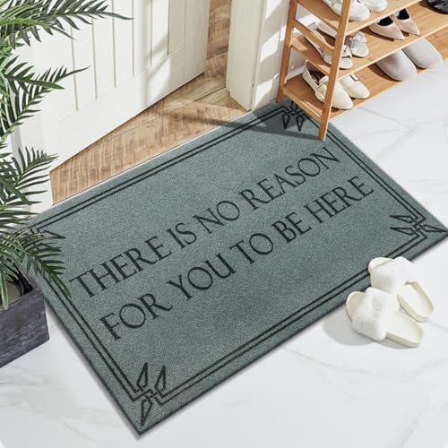 Front Door Mat Funny Welcome Mats Brown There is No Reason - Image 3