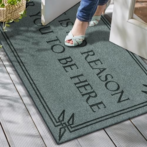 Front Door Mat Funny Welcome Mats Brown There is No Reason - Image 2