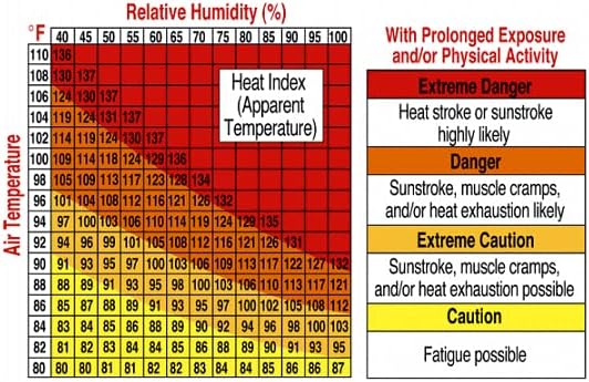 Ambient Weather WS-HE01 Handheld Heat Stress Index, Dew Point Monitor - Image 2