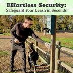 Canine Hitch- Secure Dog Leash Parking Mounted Indoor – Outdoor Wall Hook - Image 2