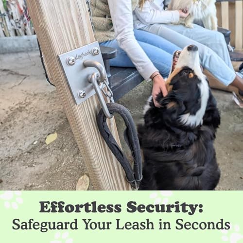 Canine Hitch- Secure Dog Leash Parking Wall Large Hook - Image 2