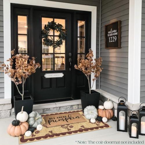 Front Door Mat Indoor Entrance - Image 6