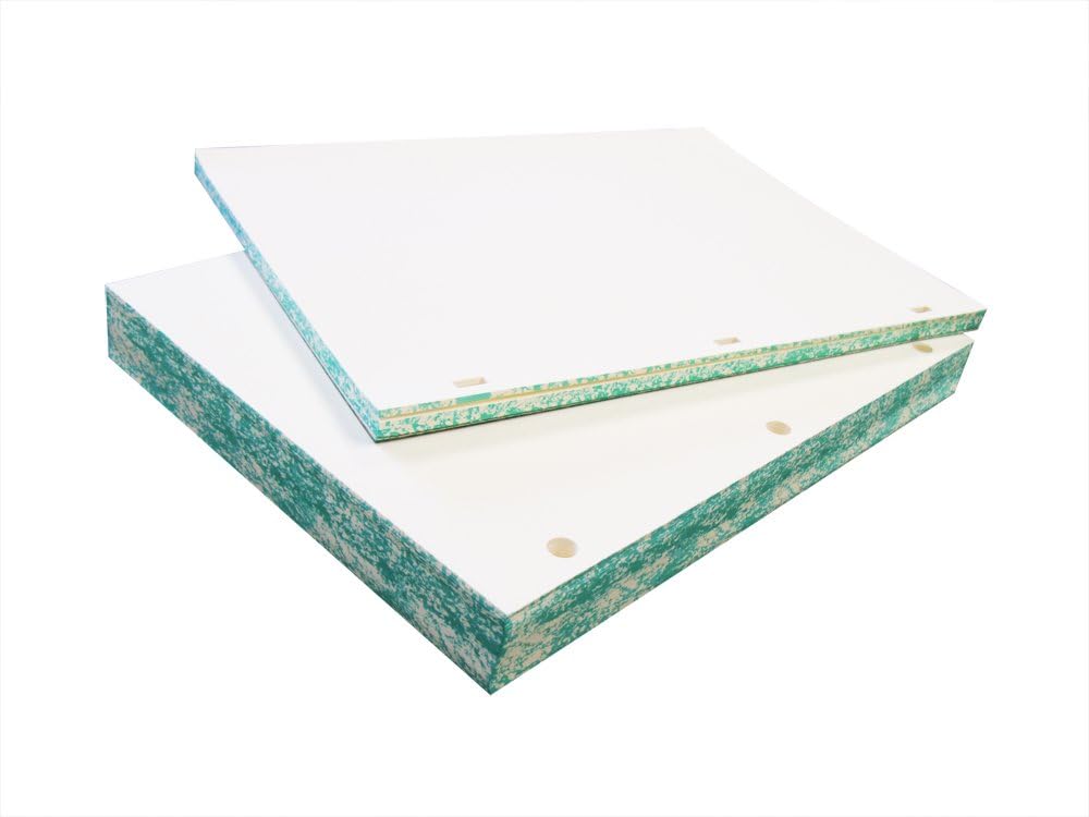 Archival Paper Watermarked 32lb Minute Paper - 11" X 8-1/2" - 100% Cotton, Acid-Free, Blank Sheets for Minute Books or Ledgers- (500 Round Holes)