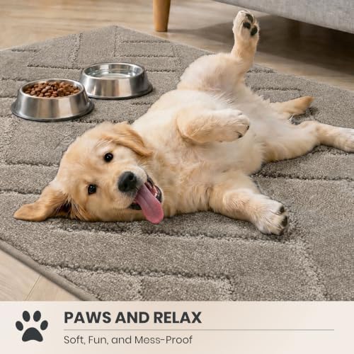PURRUGS Area Rug - Image 3