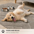 PURRUGS Area Rug - Image 3
