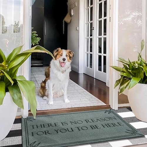 Front Door Mat Funny Welcome Mats Brown There is No Reason - Image 4