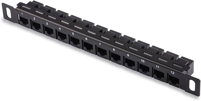 GeeekPi 12 Port Patch Panel, 10inch 0.5U CAT6 Network Patch Panel by GeeekPi