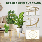 5 Pack Metal Plant Stands, Plant Shelf, Plant Holders - Image 6