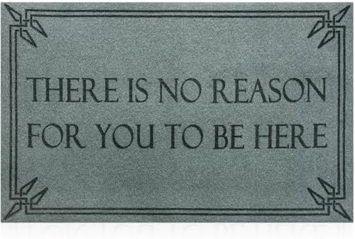 Front Door Mat Funny Welcome Mats Brown There is No Reason by Lzuso