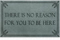 Front Door Mat Funny Welcome Mats Brown There is No Reason by Lzuso