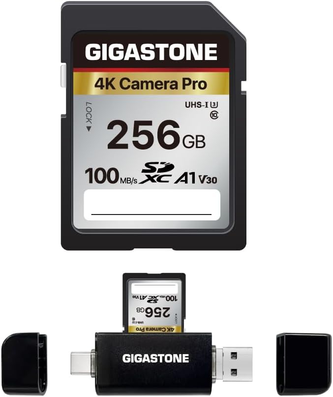 【5-Years Data Recovery】 GIGASTONE 256GB SD Card by Gigastone