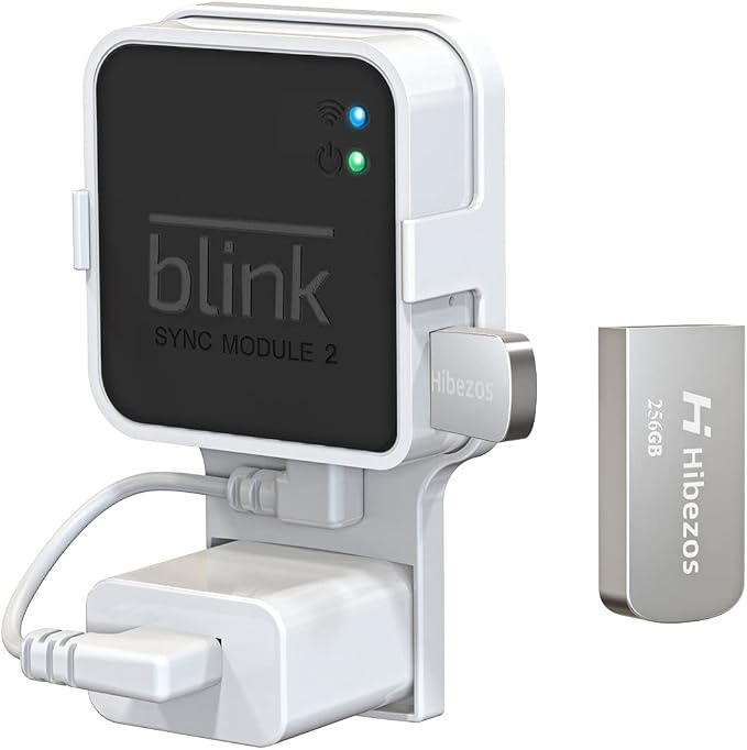 256GB USB Flash Drive and Outlet Mount by Hibezos