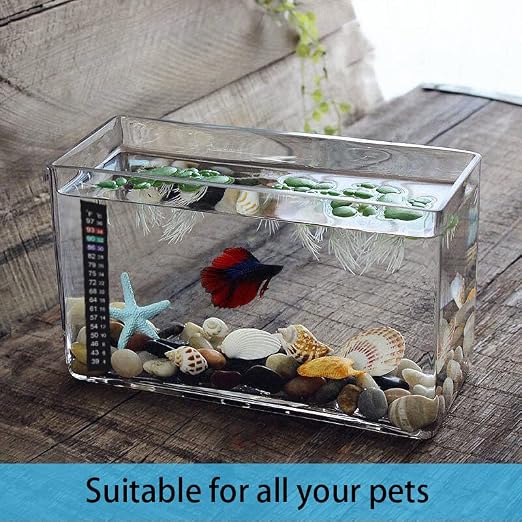 Brewing Thermometer Strip Adhesive Strip Thermometer Aquarium Thermometer Strip - Image 6