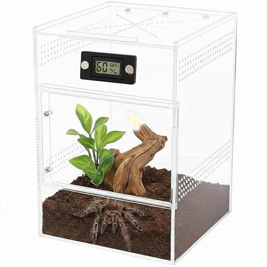 2 Pcs Magnetic Jumping Spider Enclosure Thermometer and Humidity Gauge - Image 6