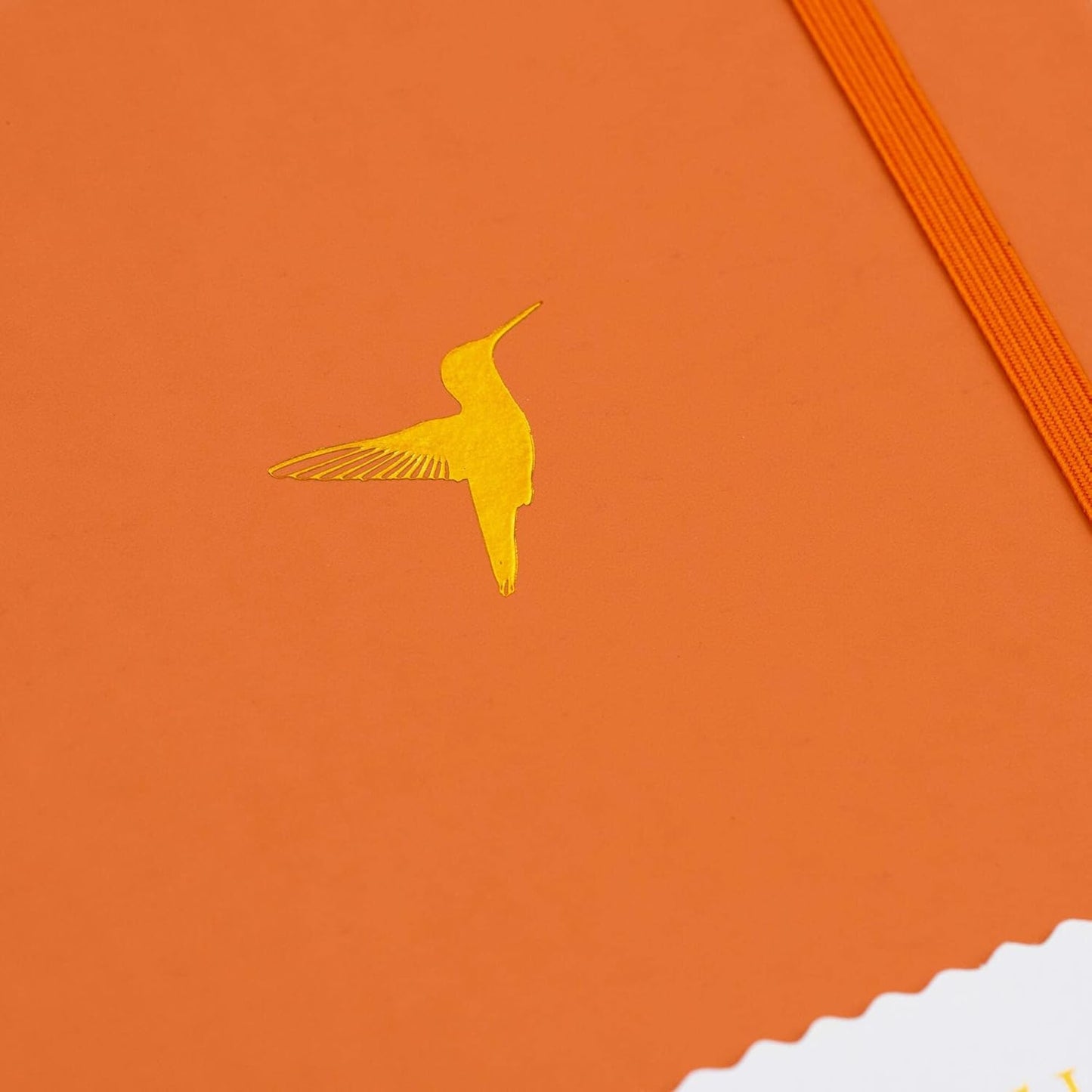Yop & Tom Bullet Dotted Journal (A5) - Hummingbird - Dot Grid Notebook With Extra Thick Paper (160 GSM) - Burnt Orange