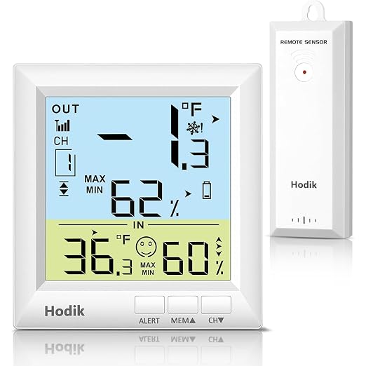 Wireless Freezer Thermometer by Hodik